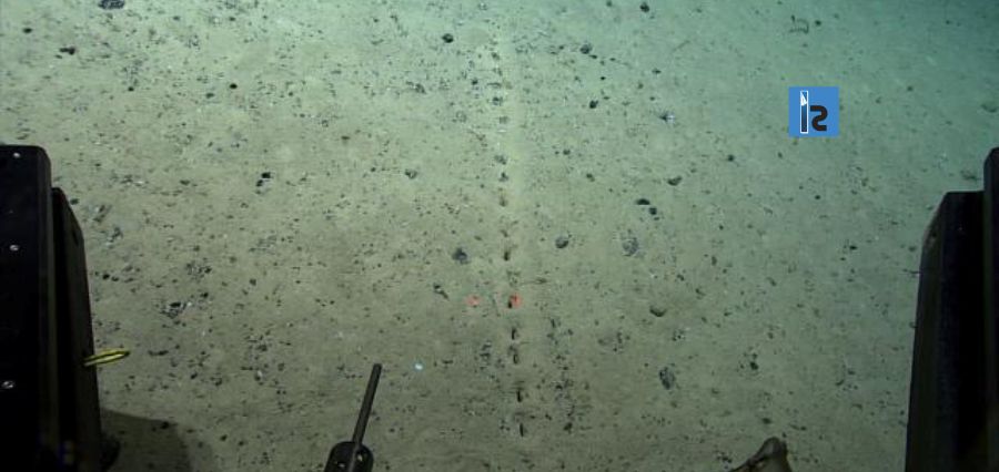 NOAA Ocean Exploration Agency Discovers Mysterious Patterns on the Atlantic Ocean Floor