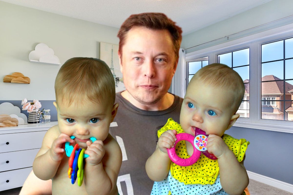 Musk Had Twins With Neuralink Executive Shivon Zilis Through IVF: Report