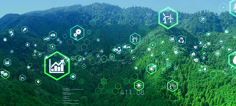 Why IoT Companies Are Going Green And How They Are Becoming More Sustainable