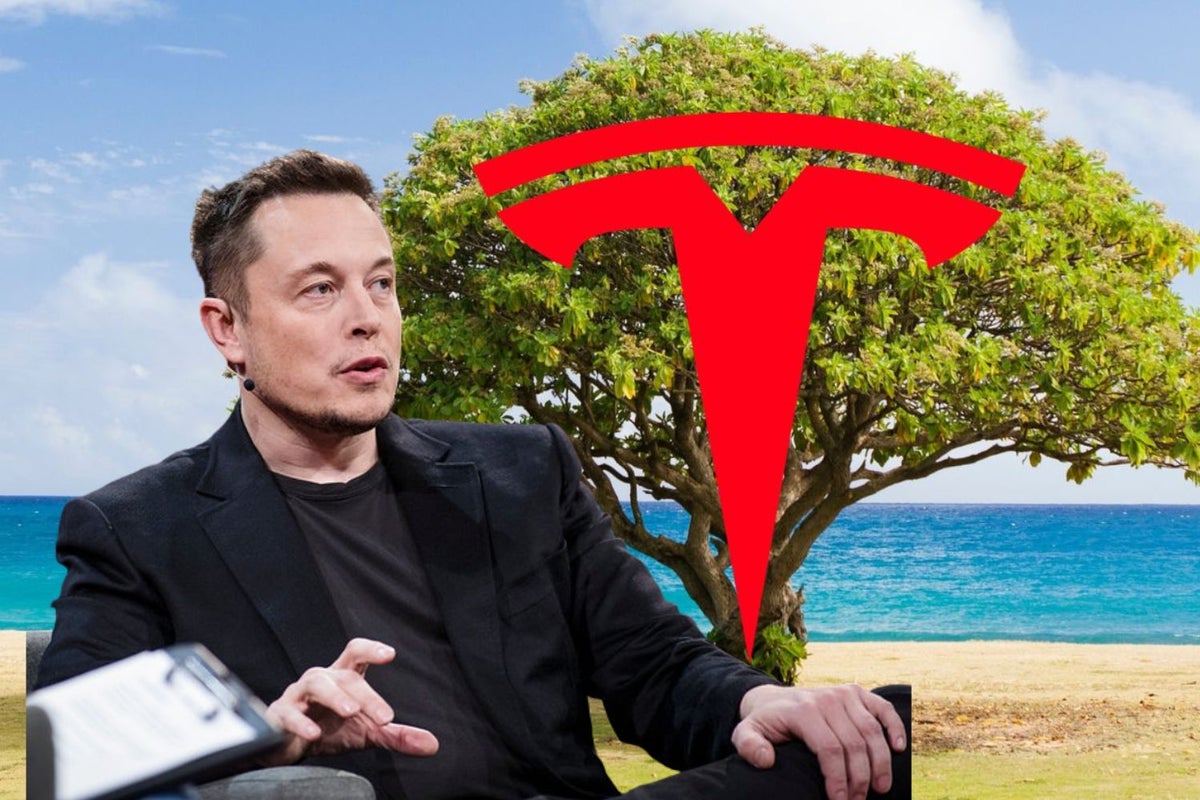 Tesla Motors (TSLA) – Elon Musk Calls Out Moody's As 'Irrelevant' In Evaluating Tesla's Credit Rating