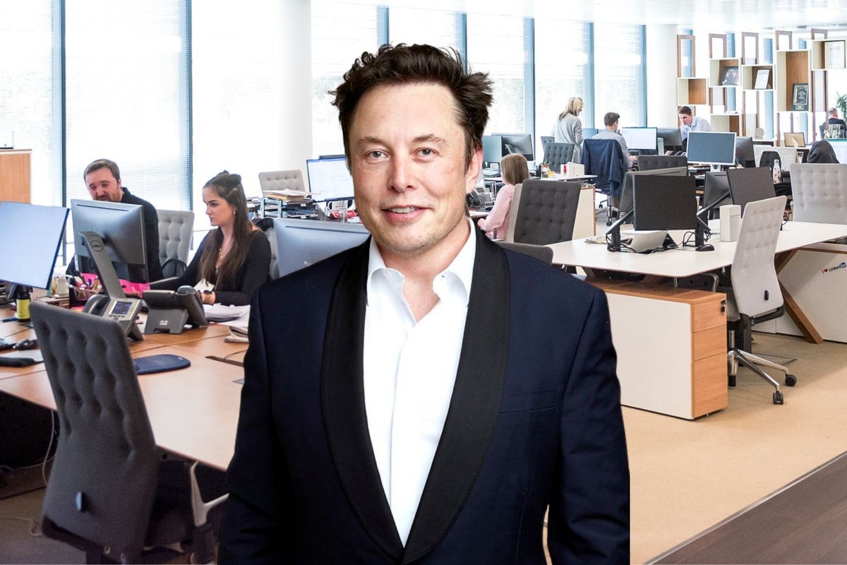 Would You Work For Elon Musk At Twitter? 69% Of Benzinga Followers Say This