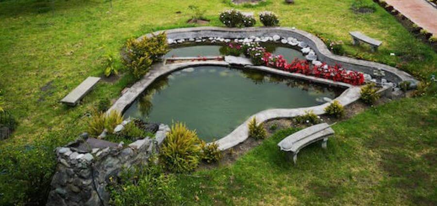 You are currently viewing 5 Ecological Advantages of Having a Home Pond