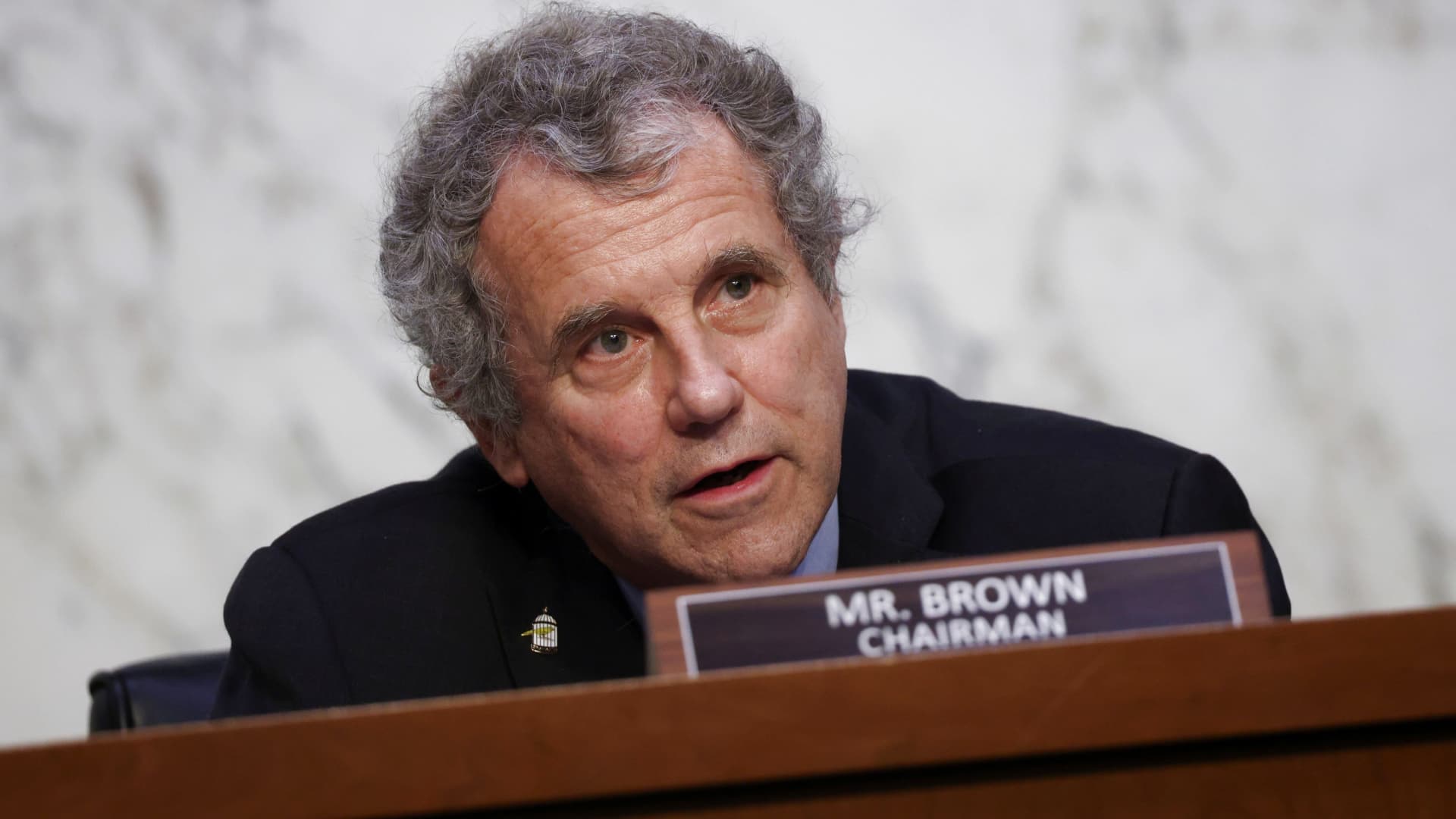 Sherrod Brown Senate Banking Committee chair questions overdraft fees