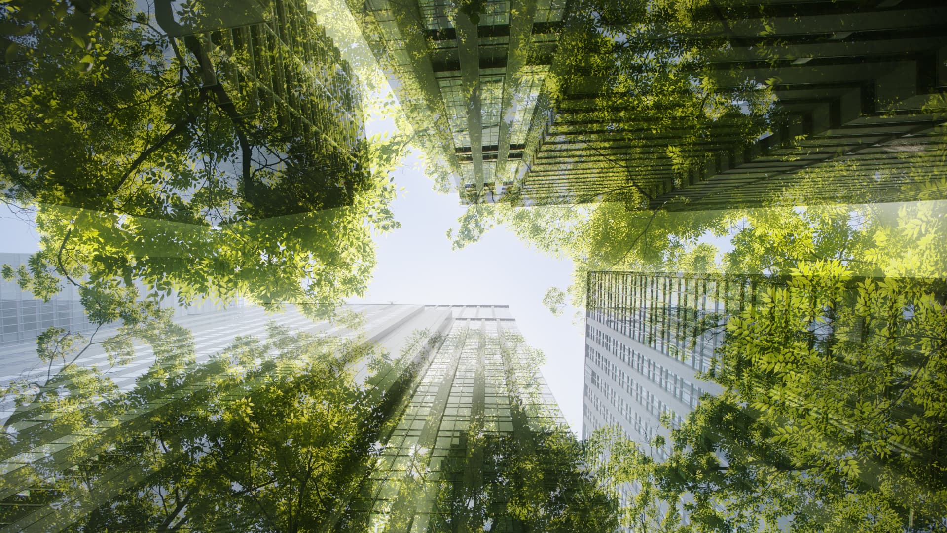London's 'green' offices are expensive. But they may help retain workers