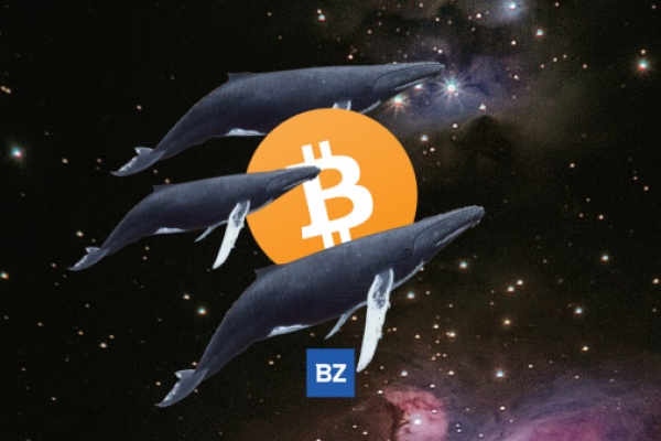 Bitcoin Whale Moves 957 BTC Off Coinbase